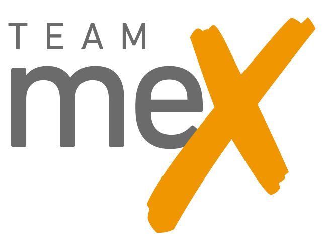 Team Mex, Landeszentrale für politische Bildung