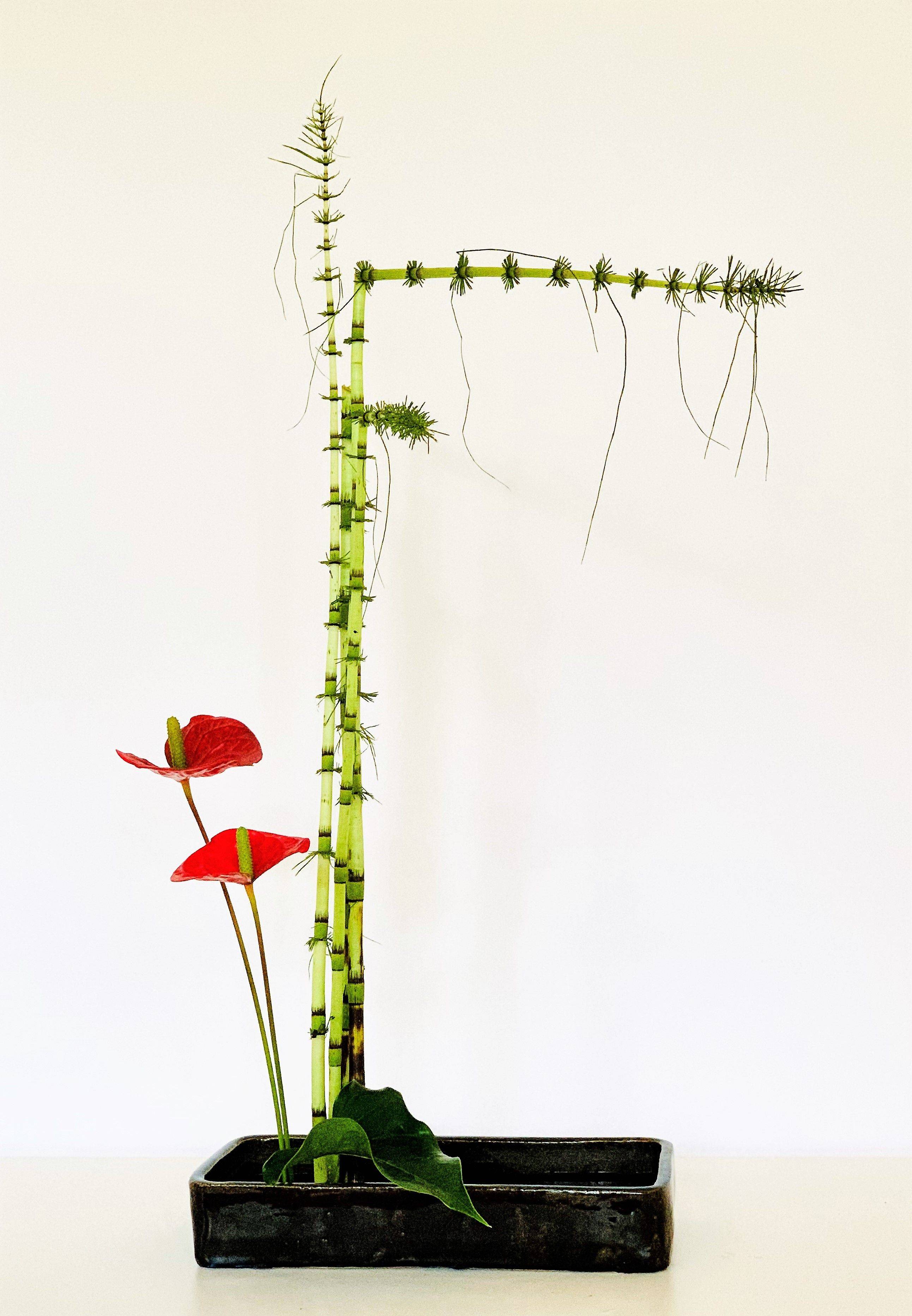 Ikebana-Gesteck, fotografiert von der vhs Winnenden
